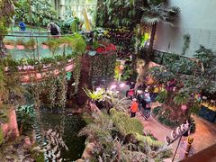 -正佳雨林生态植物园