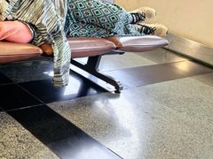 -厦门高崎国际机场-T3航站楼