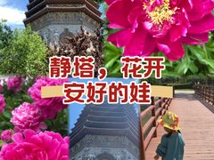 -玲珑塔公园