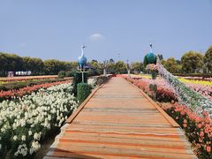 -广东花都香草世界旅游度假区