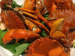 -聪辉同安老美食饭店(大元路店)