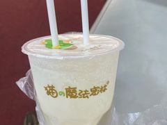 -猫的魔法密林(衣裳街店)