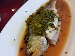 -新镇江酒家(南京西路店)
