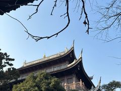 -龙华素斋(龙华路店)