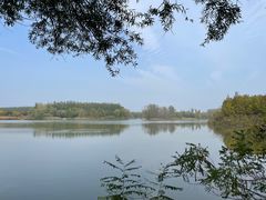-翠湖国家城市湿地公园