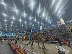 -吉林省自然博物馆