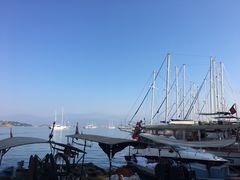 -费特希耶滑翔伞