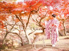 -枫雅和服体验(奈良店)