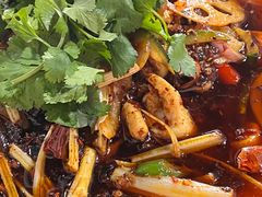 -小杨翘脚牛肉