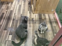 -吾悦广场(天津和平店)