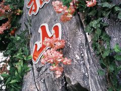 -南湖梦幻岛