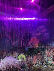 -同远QQBABY亲子摄影(北京路店)