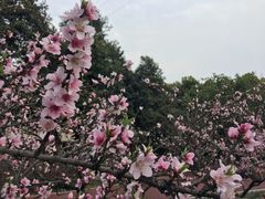 -桂溪生态公园