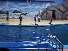-福州罗源湾海洋世界旅游区