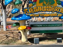 -大连森林动物园