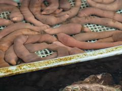 -小铜锣湾海鲜家常菜馆(河西店)