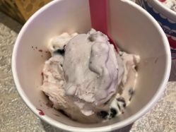 蓝海蜜豆-朵莉丝希腊冻酸奶