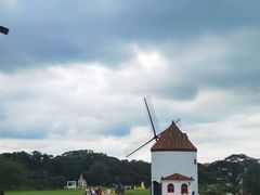 -济州森林小火车生态公园