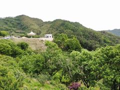 -四明山国家森林公园