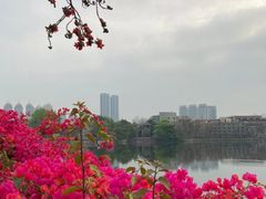 -东山湖公园