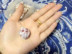-二斗栗子(黄河道店)
