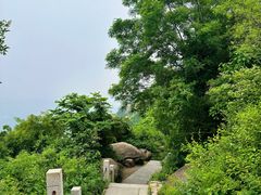 -北京凤凰岭