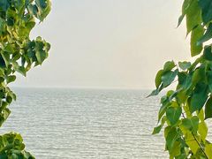 -深圳湾公园(南山区)