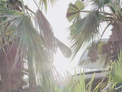 -茅草房·河畔园林火锅