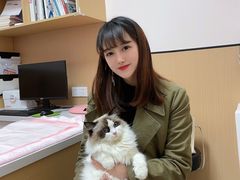 -瑞派康怡24h宠物医院·犬猫医疗中心·微创绝育(瑞景分院)