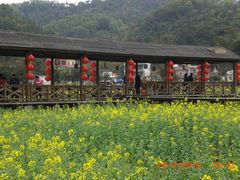 -红山村