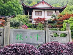 -十八棵（老龙井）御茶园(老龙井店)