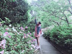 -黄桷坪涂鸦艺术街