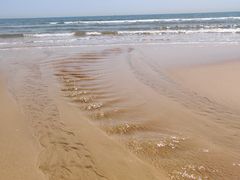 -日照海滨国家森林公园