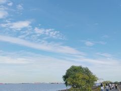 -上海滨江森林公园