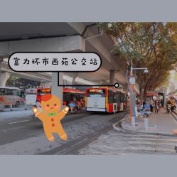 -学舞岛·成人少儿舞蹈培训