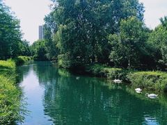 -长白岛森林公园