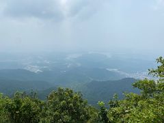 -阳台山森林公园
