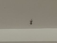 -诸暨同方豪生大酒店