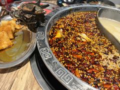 -销魂美蛙鱼头火锅(上海首店)