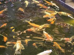 -唐山宴百姓府邸院落中餐