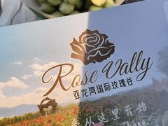 -亚龙湾国际玫瑰谷