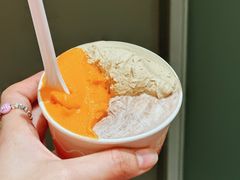 -Dip in Gelato(富民路店)