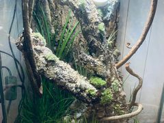 -Rabbit Cafe私房西餐甜点咖啡(栖霞路店)