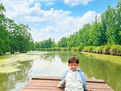 -池杉湖湿地公园