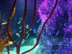 -沈阳海洋探索中心