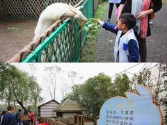 -太阳岛度假酒店