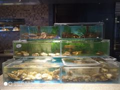 水产区-富力希尔顿酒店·源氏日餐厅