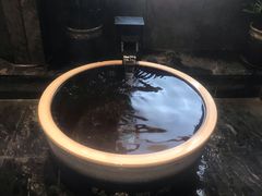 -弘安丽水温泉酒店