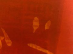 -南汇一王庙道观