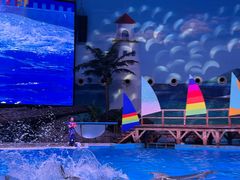 -海合安武汉极地海洋公园